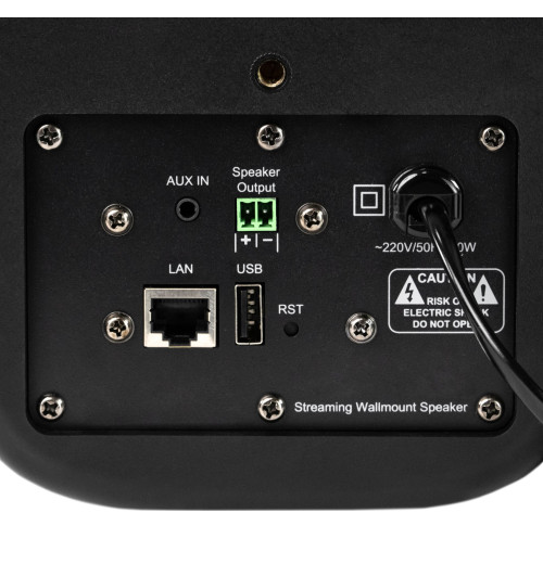 Tonsil ZGS 60W - Aktywny głośnik naścienny z Wi-Fi, Bluetooth, USB DAC i DLNA