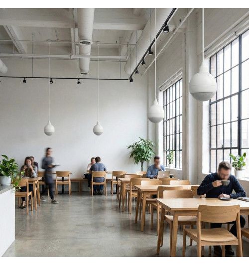 Tonsil ZGSU 25WR - Głośnik sufitowy wiszący kulowy 100V