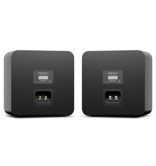 EverSolo SE100 - Kolumny podstawkowe (para)