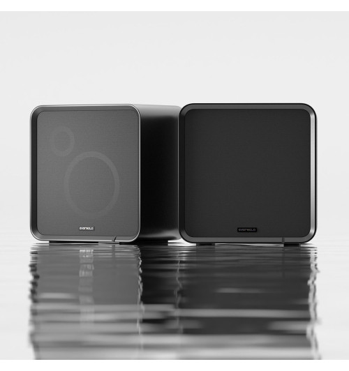 EverSolo SE100 - Kolumny podstawkowe (para)