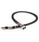Tellurium Q Black Diamond XLR - Para zbalansowanych kabli interkonekt audio XLR - XLR
