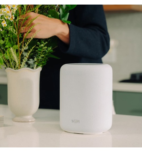 WiiM Sound Lite - Inteligentny głośnik bezprzewodowy Wi-Fi, Bluetooth 5.3 z AI RoomFit