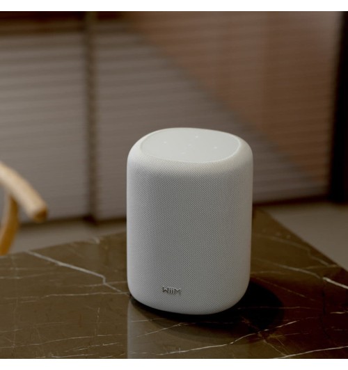 WiiM Sound Lite - Inteligentny głośnik bezprzewodowy Wi-Fi, Bluetooth 5.3 z AI RoomFit
