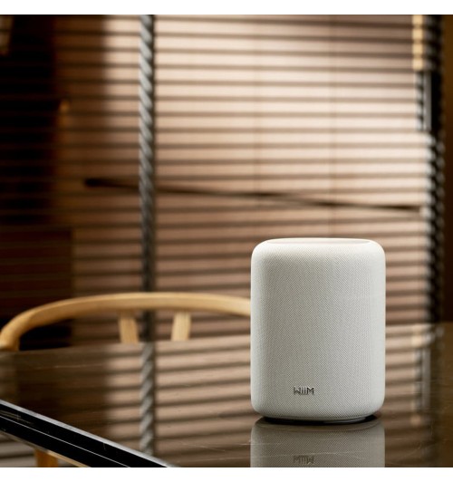 WiiM Sound Lite - Inteligentny głośnik bezprzewodowy Wi-Fi, Bluetooth 5.3 z AI RoomFit