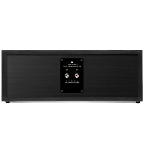 Zestaw kolumn do kina domowego 5.0: Triangle Borea BR09 + Borea BR03 + Borea BRC1