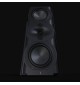 Perlisten R5m - Kolumny podstawkowe / monitory Hi-End (para)
