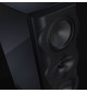 Perlisten R5m - Kolumny podstawkowe / monitory Hi-End (para)
