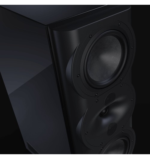 Perlisten R5m - Kolumny podstawkowe / monitory Hi-End (para)