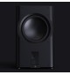 Perlisten D215s - Subwoofer aktywny 2x 15" do kina domowego Hi-End