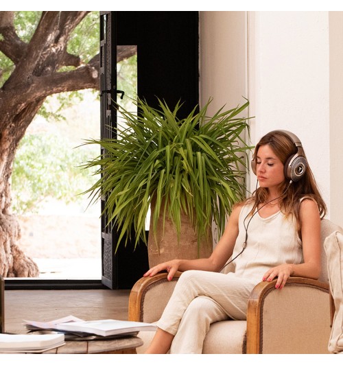 Focal Clear MG - Słuchawki wokółuszne otwarte Hi-End