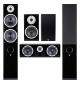 Zestaw: amplituner Denon AVR-X1800H + kolumny do kina domowego Wilson Raptor 7 5.0