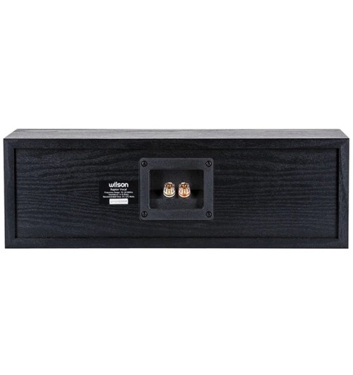 Zestaw: amplituner Denon AVR-X1800H + kolumny do kina domowego Wilson Raptor 7 5.0