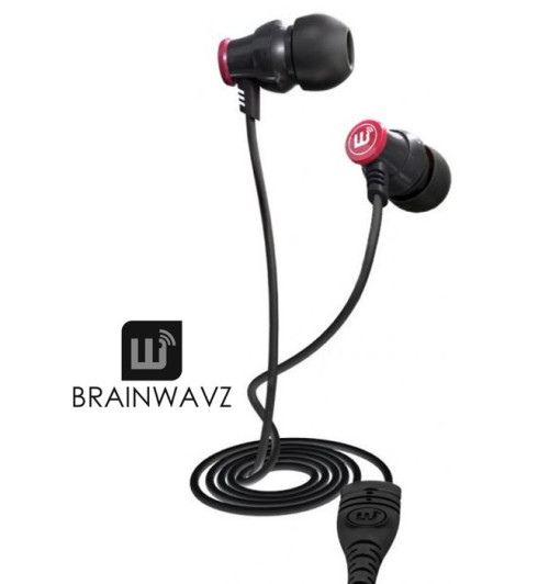 Brainwavz Delta