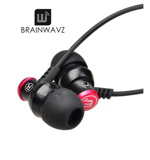 Brainwavz Delta