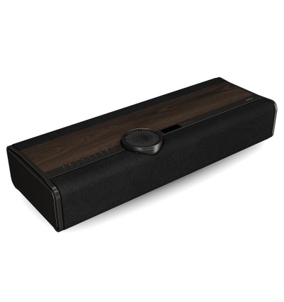 Dali Vega - Aktywny głośnik bezprzewodowy stereo All-in-One z Wi-Fi, Bluetooth i BluOS