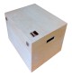 Knosti Woodline Ultrasonic Box - Skrzynia do przechowywania myjki Disco-Antistat Ultrasonic 2.0
