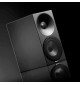Amphion Argon0 - Kolumny głośnikowe podstawkowe (para)