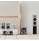 Audiovector R 3 Arreté - Kolumny głośnikowe podłogowe Hi-End (para)