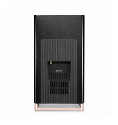 Triangle Capella 2 - Aktywne kolumny podstawkowe z Wi-Fi i Bluetooth