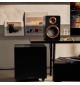 Argon Audio Berlin Sub 10 - Subwoofer aktywny 10" do kina domowego