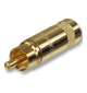 Pozłacany wtyk RCA REAN / Neutrik NYS 352AG