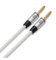 QED Performance Speaker Cable QE7604 - Komplet konfekcjonowanych kabli głośnikowych 2.5 mm² (AWG14) 2 x 3m