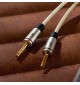 QED Performance Plugs QE7631 - Pozłacany wtyk głośnikowy bananowy