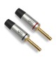 QED Performance Plugs QE7631 - Pozłacane wtyki głośnikowe bananowe (para)
