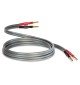 QED Reference XT40i QE1453 - Komplet konfekcjonowanych kabli głośnikowych 2 x 3m