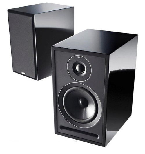 Kolumny podstawkowe Acoustic Energy AE 301