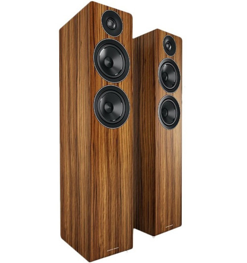 Kolumny podłogowe Acoustic Energy AE-109