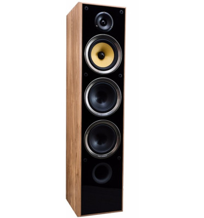 Kolumny podłogowe TAGA Harmony TAV-616F oak (para)