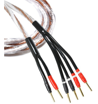 Melodika Brown Sugar BSBW4525 – Kabel głośnikowy bi-wiring 2x3,3mm2 - 2,5m