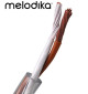 Kabel głośnikowy Melodika OFC Brown Sugar BSC2330 2x3.3mm2