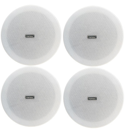 Tonsil WS 25 + 4 x ZGSU 20P Zestaw wzmacniacz i 4 głośniki