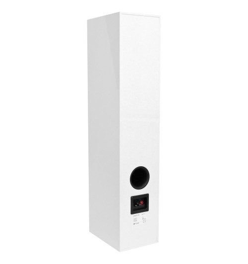 Pylon Audio Pearl 25 Biały HG – Kolumna podłogowa