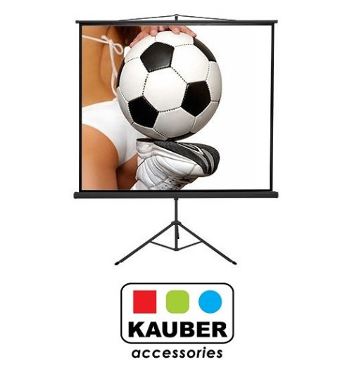 Ekran na statywie Kauber Econo Mobil 152 x 152 cm 1:1