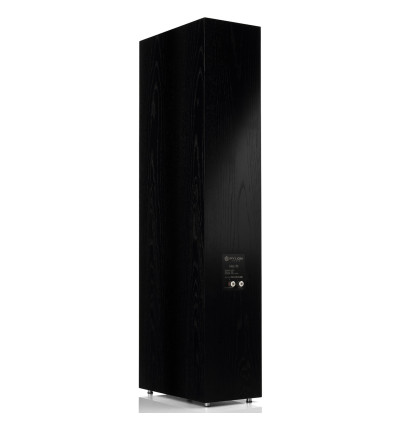 Pylon Audio Ruby 30 – Kolumna podłogowa