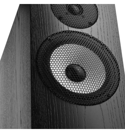 Pylon Audio Ruby 30 – Kolumna podłogowa