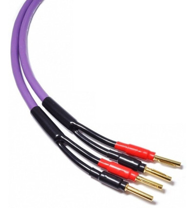 Kable głośnikowe MDSC Melodika