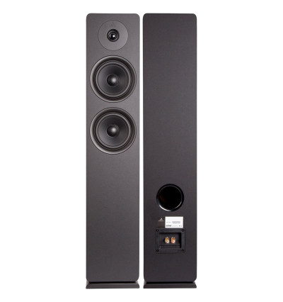 Argon Audio ALTO 55 MK2 - Kolumny podłogowe (para)