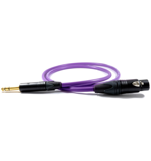 Kabel XLR - stereo 6.3mm Jack Melodika Purple Rain MDJXS