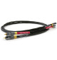 Tellurium Q Black II RCA - Komplet kabli interkonekt RCA - RCA
