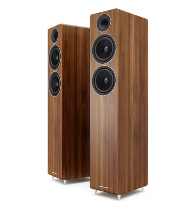 Acoustic Energy AE309 - Kolumny podłogowe (para)