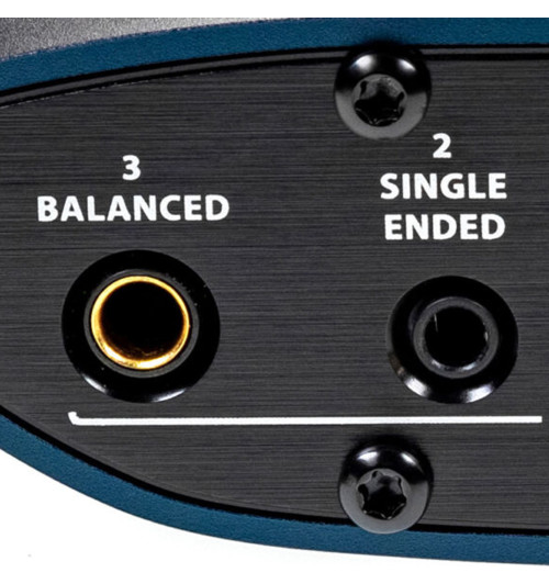 iFi Audio ZEN CAN Signature HFM - Analogowy wzmacniacz słuchawkowy