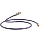 QED Performance Digital Audio QE6200 - Przewód koaksjalny RCA - RCA - 1m