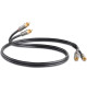 QED PERFORMANCE GRAPHITE QE6100 – Kabel 2RCA  0.6m