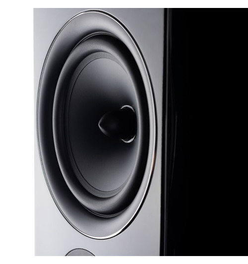 Wilson Exclusive Line EL-10 - Kolumn