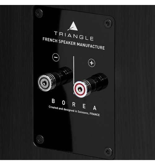 Triangle Borea BR08 - Kolumny głośnikowe podłogowe (para)