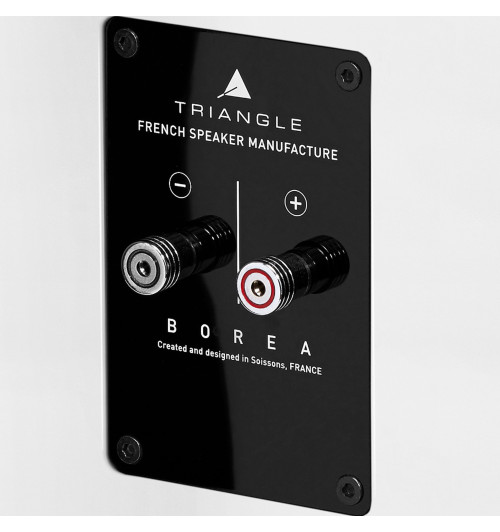 Triangle Borea BR08 - Kolumny głośnikowe podłogowe (para)